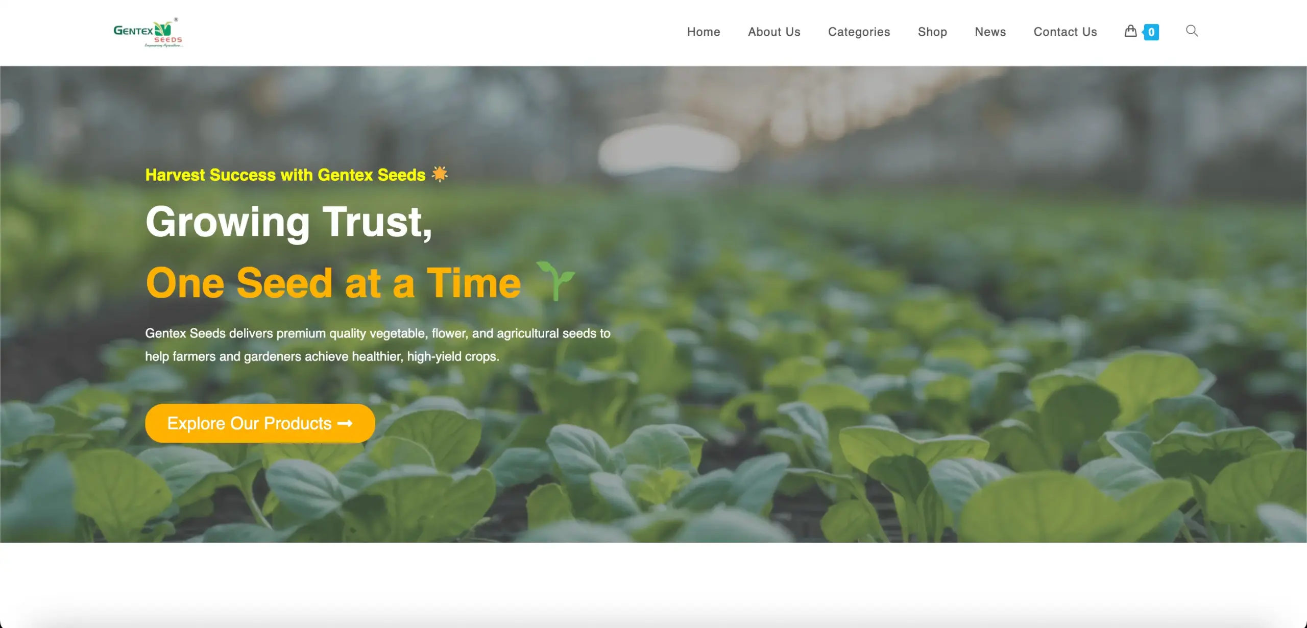 Gentext Seeds website designing company